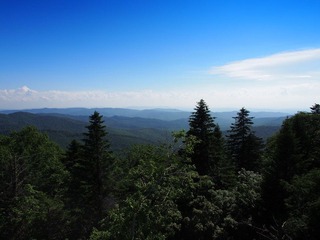 P7080050.JPG