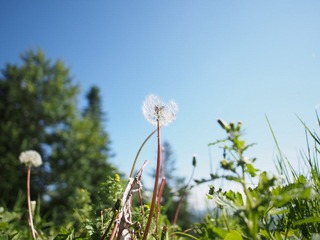 P7080090.JPG