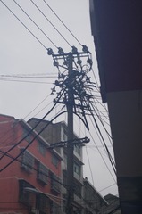 20028