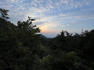 D4F1BFA8-49F1-4D0F-A1FE-82822425F5B3/L0/001