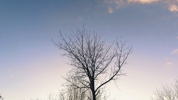 1000152809