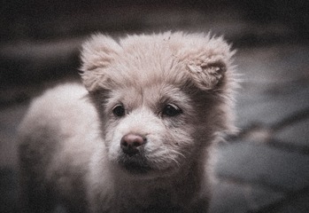 055EF47D-0089-4C5C-843E-6FDDEF103BCF/L0/001