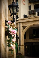 IMGP0220.jpg