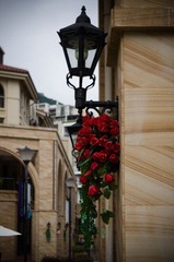 IMGP0223.jpg