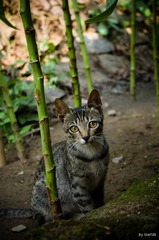 后期定稿-1491.jpg