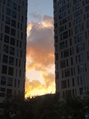 4365326