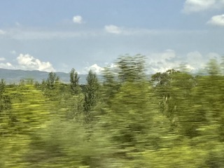6549AD4C-9473-43E6-8D2A-82299E0EBB28/L0/001