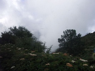 RIMG0158.JPG