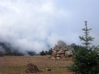 RIMG0166.JPG