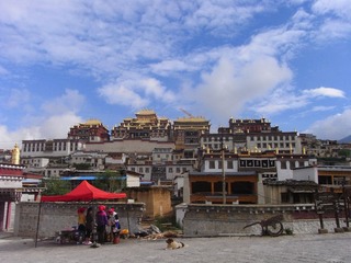 RIMG0066.JPG