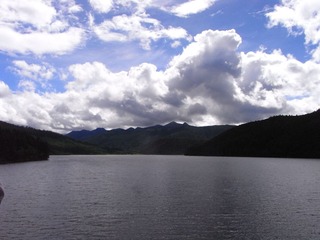 RIMG0194.JPG