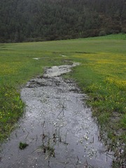 RIMG0241.JPG