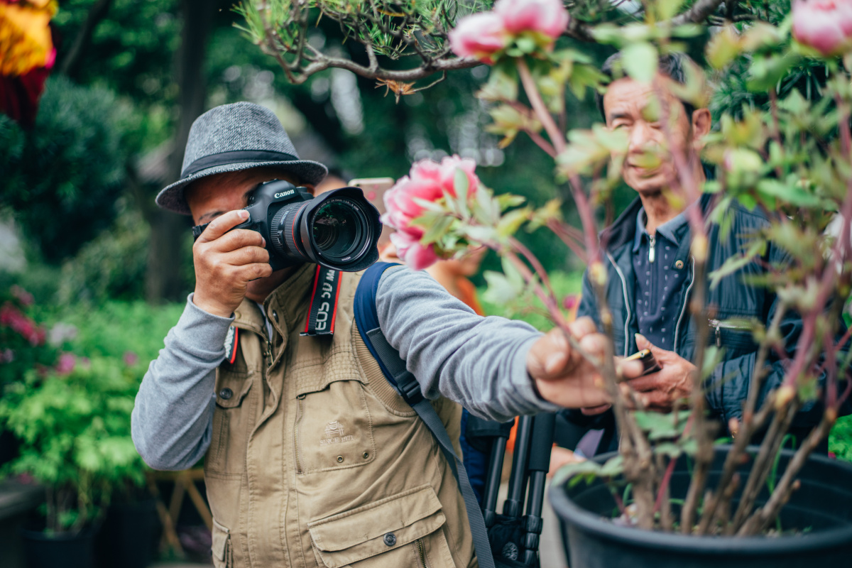 那些"赏花"的老法师们 - 摄影师鹏少 - 图虫网 - 优质摄影师交流社区