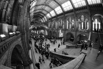 DSCF1587.jpg