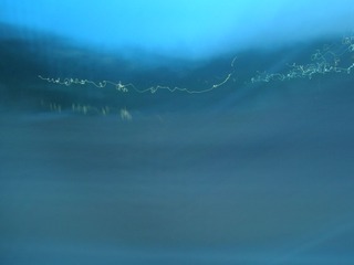 P8302735