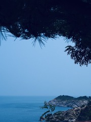 D764FA5B-131E-43A8-99D8-589E72859EB9/L0/001