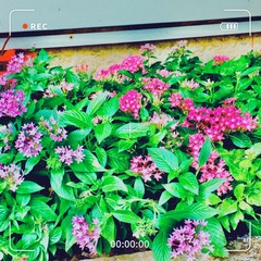 597AD3C4-3866-40BF-A912-126B44FD26B0/L0/001