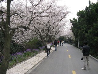 照片 003.jpg