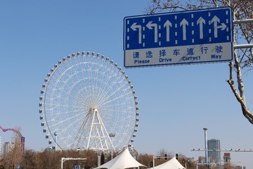 55462
