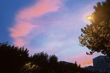 E826189D-231B-42F0-85A3-5D5D4CB8351B/L0/001