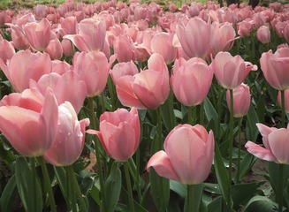 F436F385-6D2C-410C-A37E-7DBBDCF8B870/L0/001