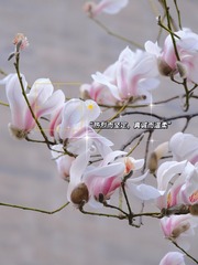 857D3427-63BC-4143-BC50-DD5C763CABB1/L0/001