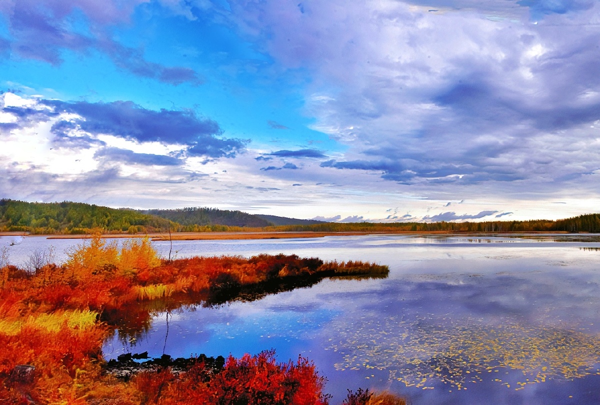 阿尔山杜鹃湖秋色