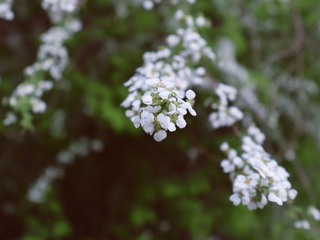 285E0D3E-6560-4382-A249-4F6A06255559/L0/001