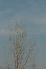 69E86935-4D17-40CD-94FC-6326AD921A17/L0/001