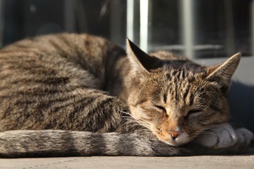 改IMG_8376
