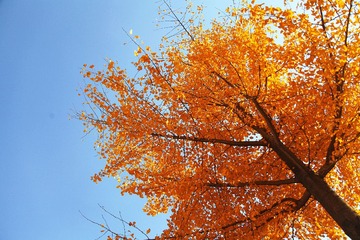 改IMG_83101