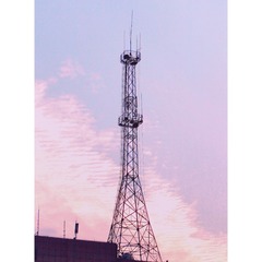2551782