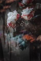 37B8141C-7C41-496C-ABBF-963C031F8AF6/L0/001
