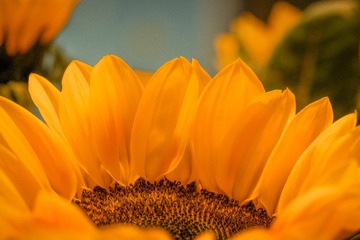 2B706A49-6B76-4919-B7C3-4AB9241AD87D/L0/001