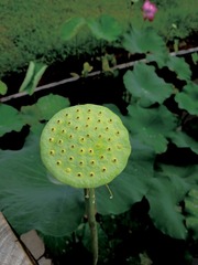 569