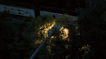 26F56315-3B06-43FC-BA2A-9631B056B359/L0/001