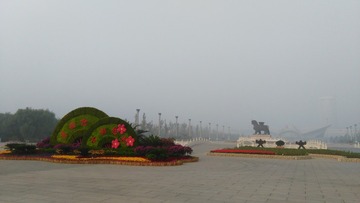IMG_20161019_075602