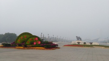 IMG_20161019_075603