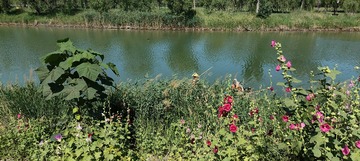 IMG20250604091005