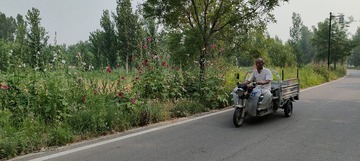 IMG20250614080136