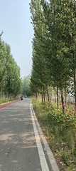 IMG20250614081602