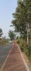 IMG20250614072501
