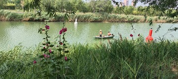 IMG20250608085957