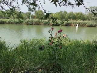 IMG20250608090013