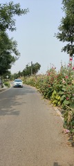 IMG20250614075624