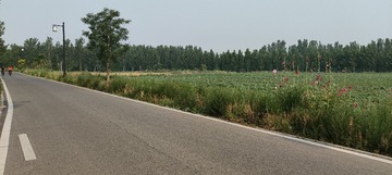 IMG20250614074303