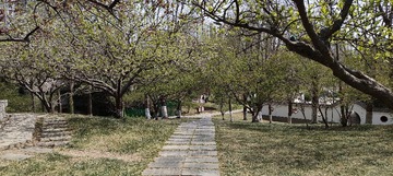IMG20250403103347