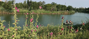 IMG20250612082032