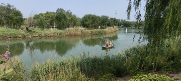 IMG20250608091142