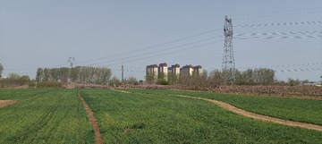 IMG20250409094827